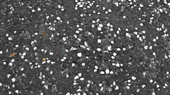 Cyrestis thyodamas mabella