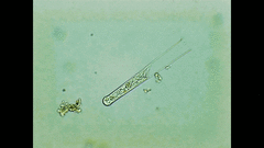Eutintinnus