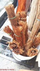 Goniothalamus macrophyllus