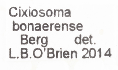 Cixiosoma bonaerense