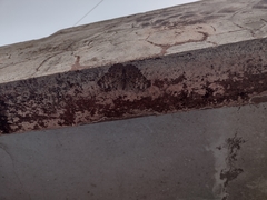 Hamadryas glauconome