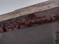 Hamadryas glauconome