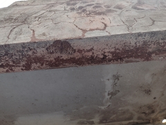 Hamadryas glauconome