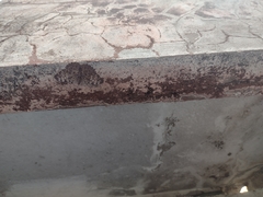 Hamadryas glauconome