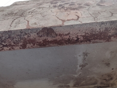 Hamadryas glauconome