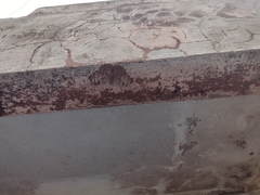 Hamadryas glauconome