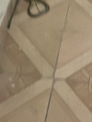 Psammophis punctulatus