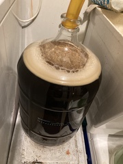 Saccharomyces cerevisiae