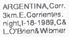 Melanoliarus dimidiatus