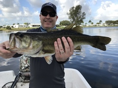 Micropterus floridanus