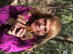Morchella tridentina