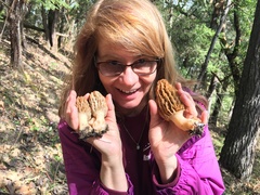 Morchella tridentina