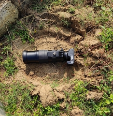 Elephas maximus indicus