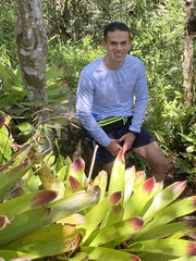 Vriesea philippocoburgi