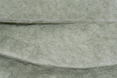 Antennaria parlinii fallax