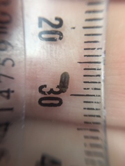 Methemus griseipilus