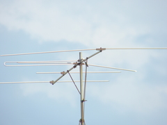 Chlorostilbon lucidus