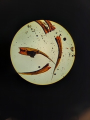 Racomitrium pruinosum