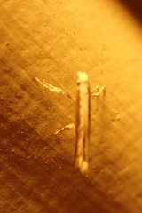 Epicephala acrobaphes