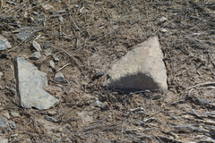 Orocrambus machaeristes