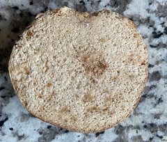 Zelleromyces cinnabarinus