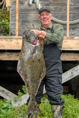 Hippoglossus stenolepis