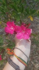 Neriinae