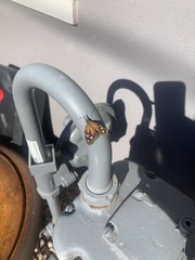 Libytheana carinenta