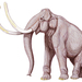 Columbian Mammoth - Photo (c) DiBgd, some rights reserved (CC BY-SA)