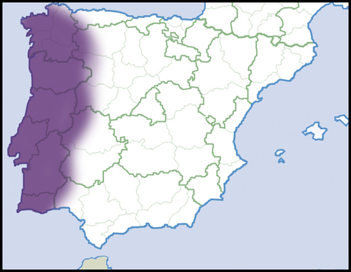 Portugala inchoata