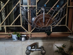 Pseudophilautus wynaadensis