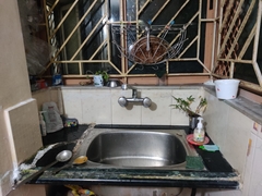 Pseudophilautus wynaadensis