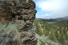 Myriopteris intertexta