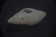 Propebela