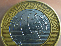 Rheumatobates minutus