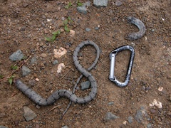 Cubophis cantherigerus