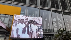 Acridotheres tristis