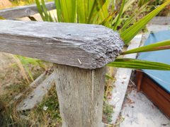 Agriphila biothanatalis