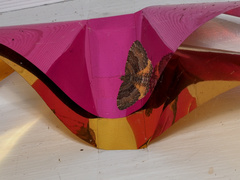 Chrysolarentia bichromata