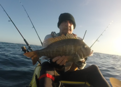 Lethrinus laticaudis