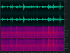 Petaurista albiventer