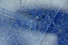 Mesopodopsis slabberi