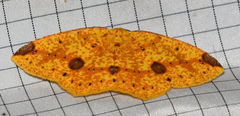 Periclina apricaria