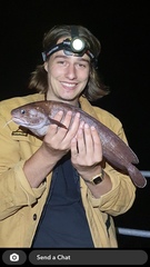 Lotella