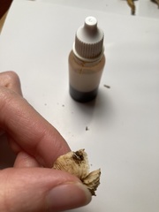 Cystoderma granosum