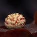 Striped Pea Gall Wasp - Photo (c) Alexis, some rights reserved (CC BY), uploaded by Alexis