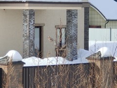 Carpodacus sibiricus sibiricus