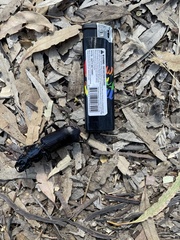 Hyperion schroetteri