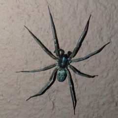 Xeropigo