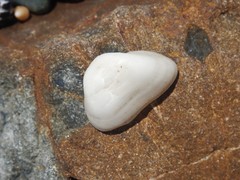 Striarca pisolina